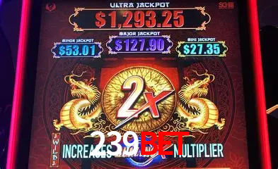 A Experiência Imersiva dos Cassinos Ao Vivo no 239bet