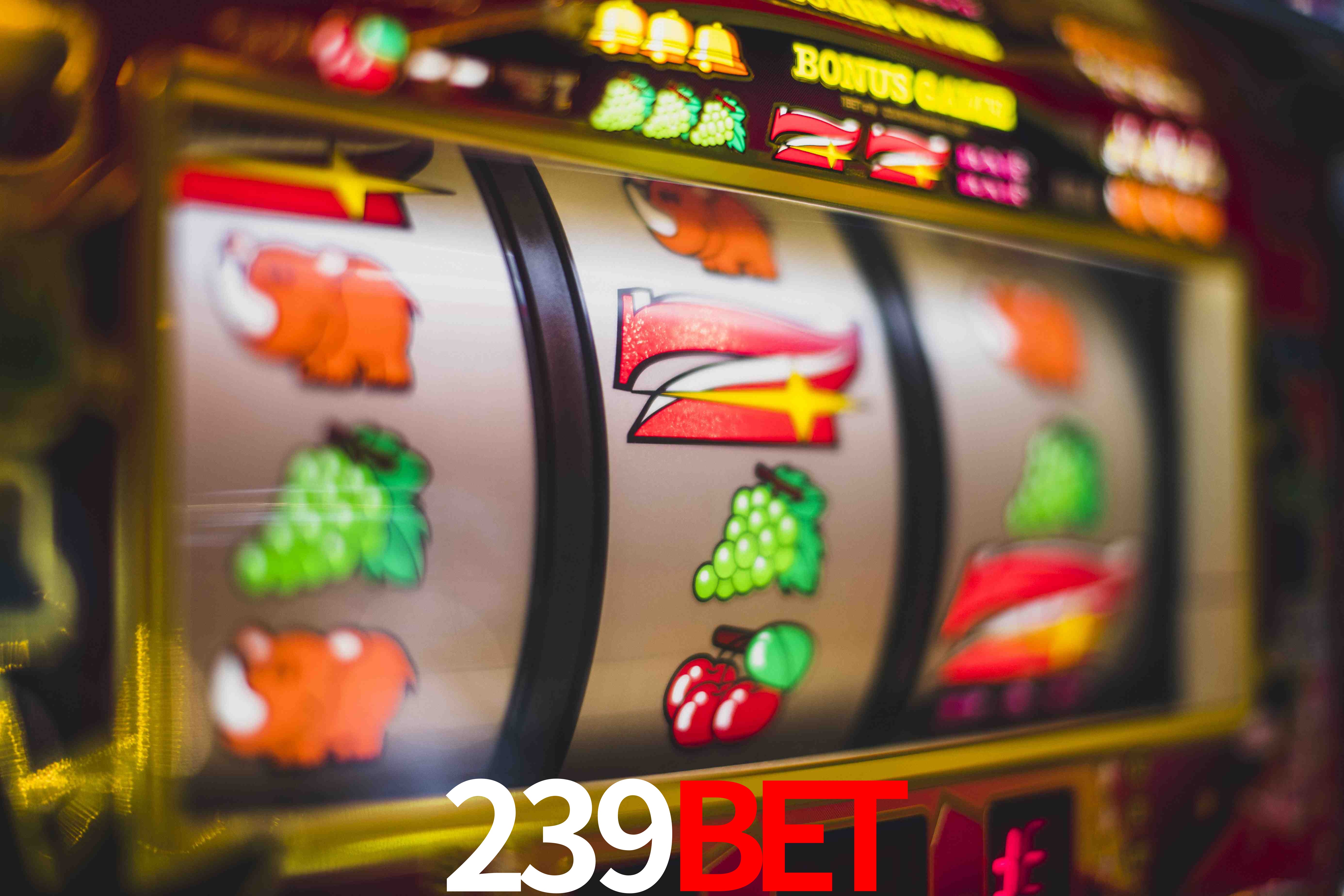 Live Casino 239bet